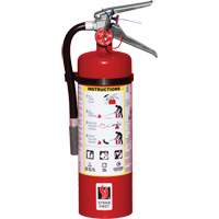 Extincteur d'incendie, ABC, Capacit&eacute; 5 lb We Share Industrial Supply