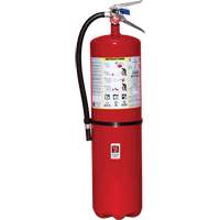 Extincteur d'incendie, ABC, Capacit&eacute; 30 lb We Share Industrial Supply