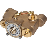 Vannes de m&eacute;lange thermostatique, 78 gal./min We Share Industrial Supply