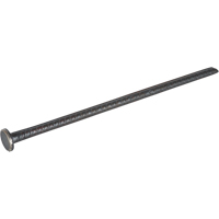 Rebar Spike We Share Industrial Supply