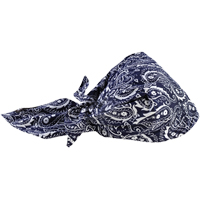 Bandeaux en triangle 6710CT de refroidissement en tissu de serviette Chill-Its, Bleu We Share Industrial Supply