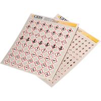 Assortiment d'&eacute;tiquettes avec pictogrammes sgh, Vinyle, Feuille, 1/2" lo x 1/2" la We Share Industrial Supply