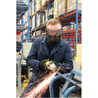 Lunettes &agrave; coques de s&eacute;curit&eacute; avec visi&egrave;re de s&eacute;rie Z2300, Lentille Transparent, Antibu&eacute;e, Ventilation Indirecte We Share Industrial Supply