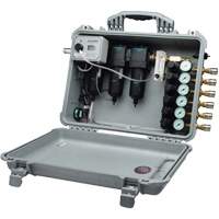 ALLEGRO INDUSTRIES 6 Worker Multi Regulator We Share Industrial Supply
