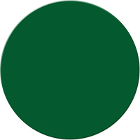 Marqueurs all&eacute;g&eacute;e/5S Armor Stripe, Cercle, 6" lo x 6" la, Vert, Plastique We Share Industrial Supply