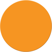 Marqueurs all&eacute;g&eacute;e/5S Armor Stripe, Cercle, 6" lo x 6" la, Orange, Plastique We Share Industrial Supply