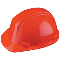 Casque Mont-Blanc de North, R&eacute;pond aux normes CSA type 2, Suspension Rochet, Non ventil&eacute; We Share Industrial Supply