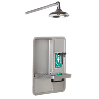 Douche et douche oculaire/faciale, Montage au plafond We Share Industrial Supply