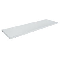 Additional Shelf for Drum Cabinet We Share Industrial Supply