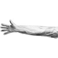 Gants jetables, Grand, Poly&eacute;thyl&egrave;ne, 9 mils, Poudr&eacute;s, Transparent We Share Industrial Supply