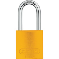 Cadenas, Cl&eacute;s diff&eacute;rentes, Aluminium, Largeur de 1-1/2" We Share Industrial Supply