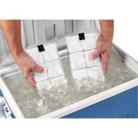Sachets pour veste de refroidissement &agrave; changement de phase 6260 Chill-Its We Share Industrial Supply
