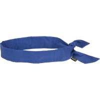 Cooling Bandana, Blue We Share Industrial Supply