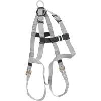 Harnais &eacute;conomique de conformit&eacute; B Dynamic, Certifi&eacute;e CSA, Classe AE, Cap. 310 lb We Share Industrial Supply