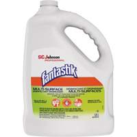D&eacute;sinfectant et d&eacute;graissant multisurface professionnel Fantastik, 3,78 L, Cruche We Share Industrial Supply