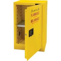 Flammable Storage Cabinet, 12 gal., 1 Door, 23" W x 35" H x 18" D We Share Industrial Supply