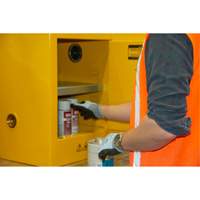 Flammable Storage Cabinet, 4 gal., 1 Door, 17" W x 22" H x 18" D We Share Industrial Supply