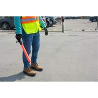 Safety Baton Light We Share Industrial Supply