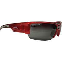 Hartley Safety Glasses, Grey Lens, Polarized, Meets/Exceeds CSA Z94.3 We Share Industrial Supply