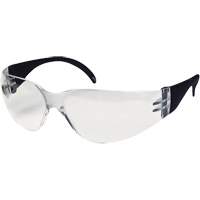 CeeTec Safety Glasses, Clear Lens, Anti-Fog/Anti-Scratch, Meets/Exceeds CSA Z94.3 We Share Industrial Supply