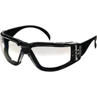 CeeTec DX Safety Glasses, Clear Lens, Anti-Fog/Anti-Scratch, Meets/Exceeds CSA Z94.3 We Share Industrial Supply