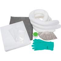 Spill Kit, Oil Only/Universal, Bag, 10 US gal. Absorbancy We Share Industrial Supply