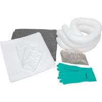 Trousse d'&eacute;quipement de lutte contre les d&eacute;versements, Huile seulement/Universel, Sac, Absorbance de 10 gal. US We Share Industrial Supply