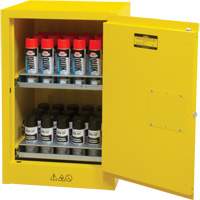Flammable Aerosol Storage Cabinet, 12 gal., 1 Door, 23" W x 35" H x 18" D We Share Industrial Supply