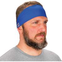 Chill-Its 6634 Cooling Headband, Blue We Share Industrial Supply