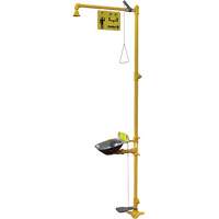 Poste de douche oculaire & douche de s&eacute;curit&eacute; Halo We Share Industrial Supply