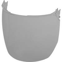 Face Shield Replacement Lenses, Polycarbonate, Grey/Smoke Tint We Share Industrial Supply