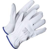 Gant de chauffeur Delta Force, 8/Moyen, Paume en Cuir fleur de ch&egrave;vre, Kevlar We Share Industrial Supply