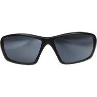 Lunettes de s&eacute;curit&eacute; Robson avec joint, Lentille Miroir argent&eacute;, Anti-&eacute;gratignures/Polaris&eacute;, ANSI Z87+/MCEPS GL-PD 10-12/R&eacute;pond ou surpasse la norme CSA Z94.3 We Share Industrial Supply