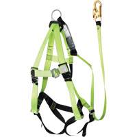 FBH-10000A6440-4 4' Class A Harness & Lanyard with 350 lbs. Capacity, Harness/Lanyard Combo We Share Industrial Supply