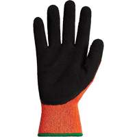 Gants d'hiver r&eacute;sistants &agrave; la coupe Dexterity TKTAGLX, Taille Moyen, Calibre 13, Rev&ecirc;tement Latex, Enveloppe en TenActiv, ASTM ANSI niveau A3 We Share Industrial Supply