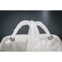 Douche oculaire/faciale, Installation Montage mural, Bol Plastique We Share Industrial Supply