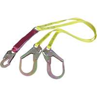 External Energy Absorber Lanyard with 2-1/4" Hooks, 6', Snap Hook Center, Snap Hook Leg Ends, Polyester We Share Industrial Supply