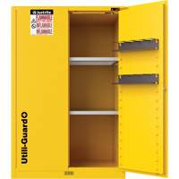 Utili-Guard+ Flammable Safety Cabinet, 45 gal., 2 Door, 43" W x 65" H x 22" D We Share Industrial Supply