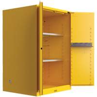 Utili-Guard+ Flammable Safety Cabinet, 45 gal., 2 Door, 43" W x 65" H x 22" D We Share Industrial Supply