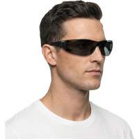 Lunettes de s&eacute;curit&eacute; Adapt Lite, Lentille Fum&eacute;e, Antibu&eacute;e/Anti-&eacute;gratignures, ANSI Z87+/R&eacute;pond ou surpasse la norme CSA Z94.3 We Share Industrial Supply