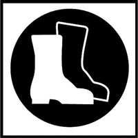 &eacute;tiquettes avec pictogramme Right to Know - Bottes, Vinyle, Feuille, 5/8" lo x 3/4" la We Share Industrial Supply