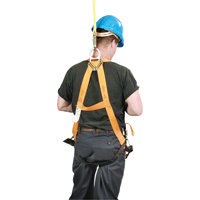 Miller&reg; Titan Contractor's Harnesses, CSA Certified, Class AP, 400 lbs. Cap. We Share Industrial Supply