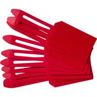 Blank Plastic Lock-On Tags, Plastic, 3-1/4" W x 5-4/5" H, Blank We Share Industrial Supply