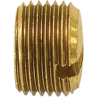 Bouchon de tuyau (avec fentes), 1/8" dia., Laiton We Share Industrial Supply