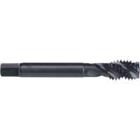 45° Spiral Flute Tap, High Speed Cobalt, 10-32 Thread, 2-3/8" L We Share Industrial Supply