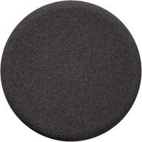 Finishing Pad, 3" Dia. We Share Industrial Supply