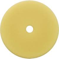 Polishing Pad, 7" Dia. We Share Industrial Supply