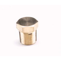 Bouchons de tuyau - Hexagonal, 1/4" We Share Industrial Supply
