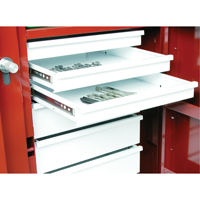 &eacute;tabli roulant, 49-7/8" la x 40-5/8" h x 26-7/8" p, Capacit&eacute; de 24,6 pi³ We Share Industrial Supply