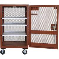Armoire mobile en treillis, Acier, 22 pi³, Rouge We Share Industrial Supply